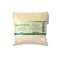 Lysolecithin powder 100 gramm
