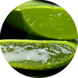 Aloe Vera illatolaj 100 ml Aloe Vera illatolaj 100 ml