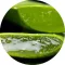 Aloe Vera illatolaj 100 ml