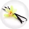 Vanília illatolaj