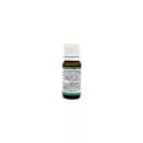 Papaya - mangó illatolaj 10 ml