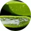 Aloe Vera II illatolaj 100 ml