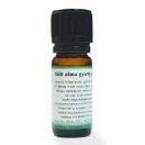 Sült alma gyertyaillat - 10 ml