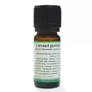 Caramel gyertyaillat - 10 ml