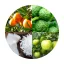 Coconut lime gyertyaillat - 10 ml
