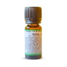 Green tea & bamboo gyertyaillat - 10 ml