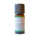 Palo santo gyertyaillat - 10 ml
