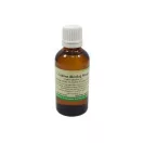Cédrus illóolaj 50 ml