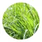 Citronella illóolaj
